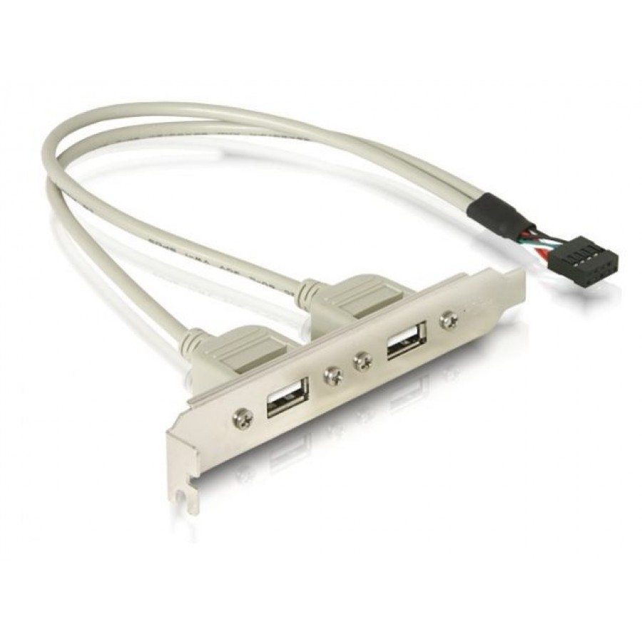 Gniazdo USB 2xa Na Śledziu Delock