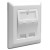 Keystone Panel 2 Portowy Delock
