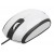 Mysz Gembird Optyczna 1-Scroll White/Black USB Mus-105