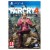 Gra Far Cry 4 Limited Edition PS4