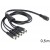 Kabel Rozdzielacz Zasilania Dc 5.5x2.1mm 1xf->5xm 0.5m Delock