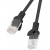 Patchcord Kat6 0.25m Czarny Lanberg