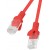 Patchcord Kat6 0.25m Czerwony Lanberg