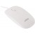 Mysz Ugo MY-06 1200dpi Biała