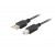 Kabel USB-A(M)->USB-B(M) 2.0 1.0m Czarny Ferryt Box Lanberg