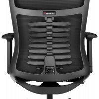 Fotel Ergonomiczny Genesis Astat 200 Czarny