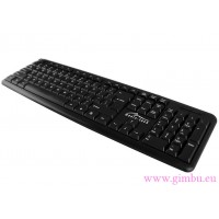 STANDARD PC KEYBOARD - Klawiatura standardowa USB